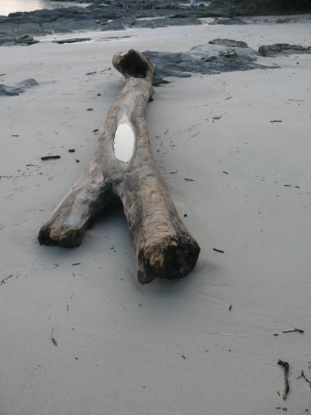 Strandgut 