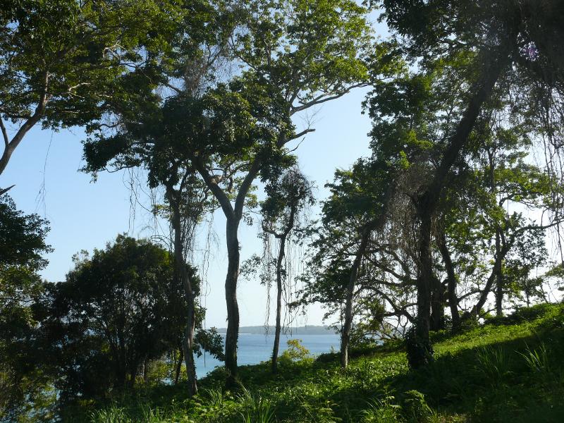 Isla Contadora 
