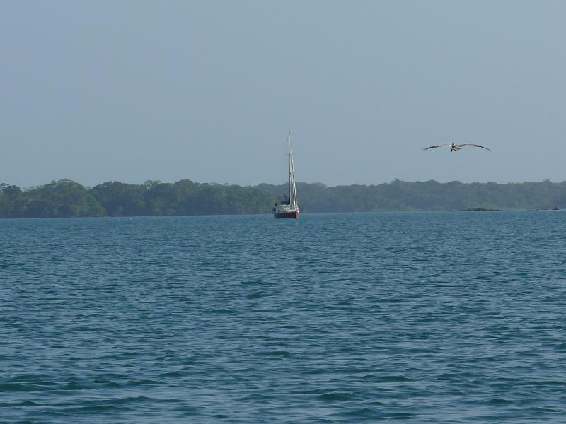Ankern bei der Isla Ampon, Las Perlas 