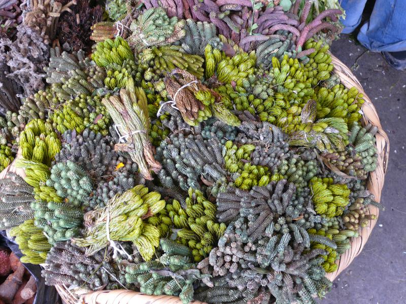 Kräuterstand, Mercado de los Brujos, Chiclayo 