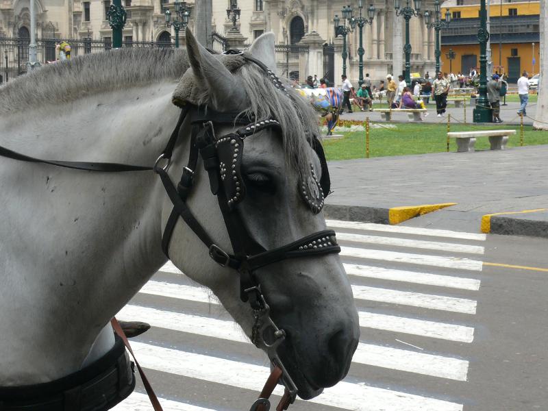 Plaza de Armas 