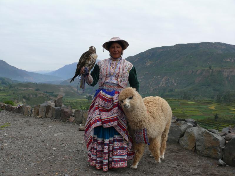 Frau in lokaler Tracht mit Kondor und Alpaca 