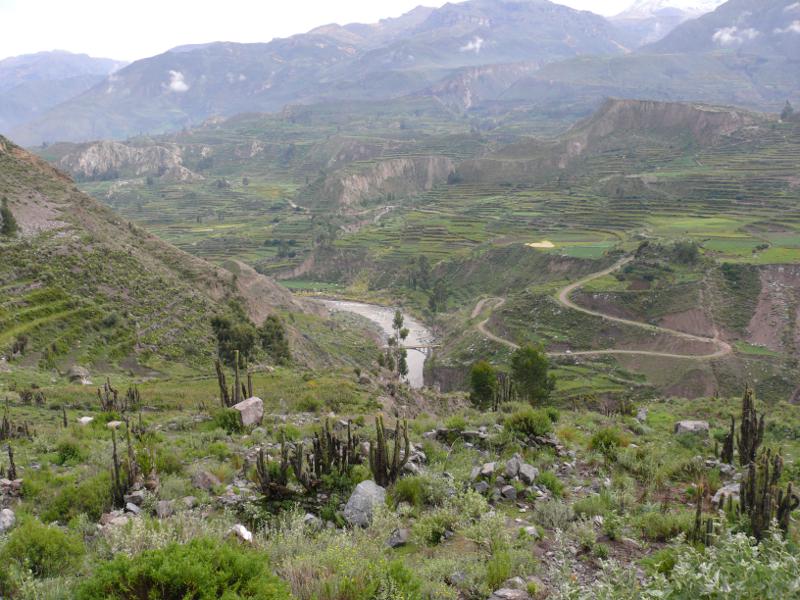 Colca Canon 