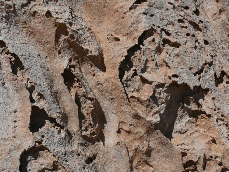 Detail vom Arbol de Piedra 