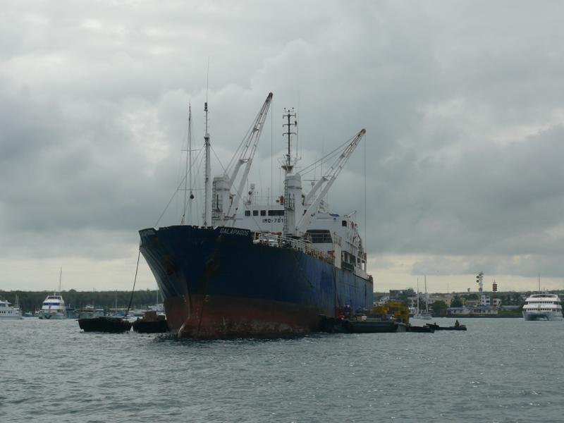 Warenlieferung für Santa Cruz, Puerto Ayora 