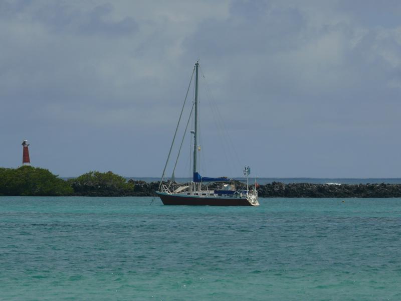 Suleika, Puerto Villamil, Isabela 