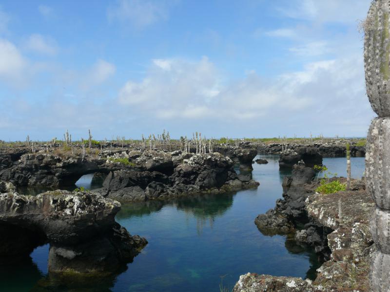 Urige Landschaft, Los Tuneles 