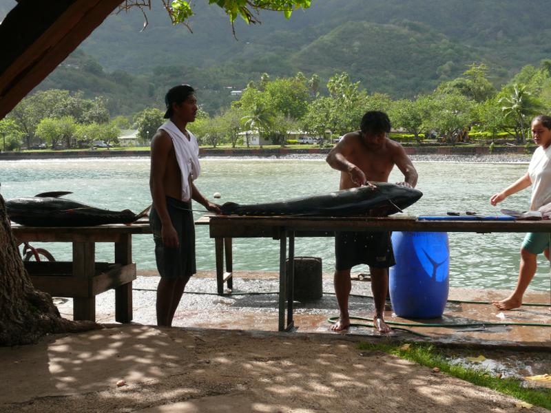 Fischer Toni, Nuku Hiva 