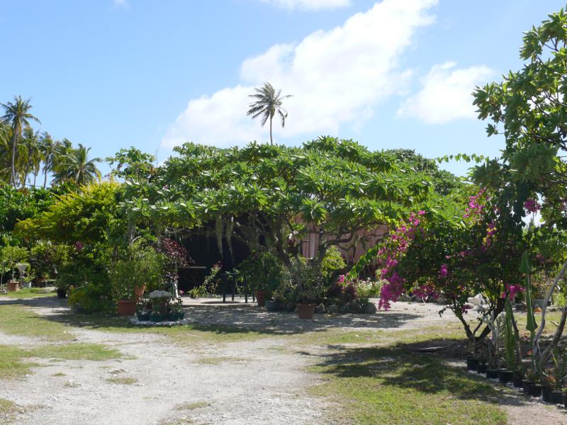 Gepflegter Garten 