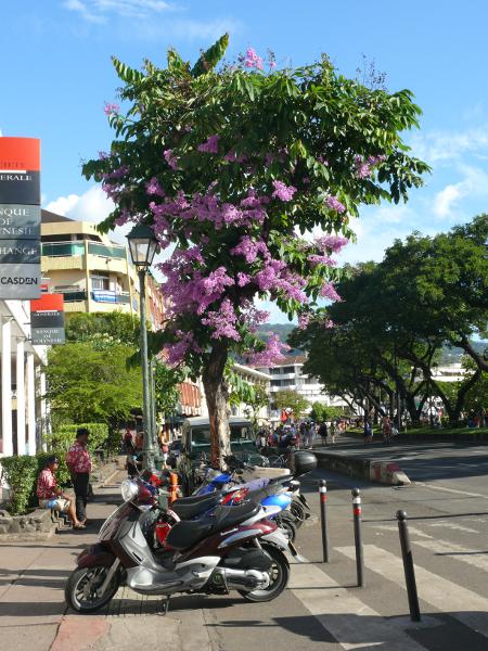Papeete 