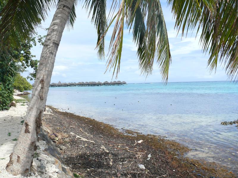 Hotels aufs Wasser rausgebaut 