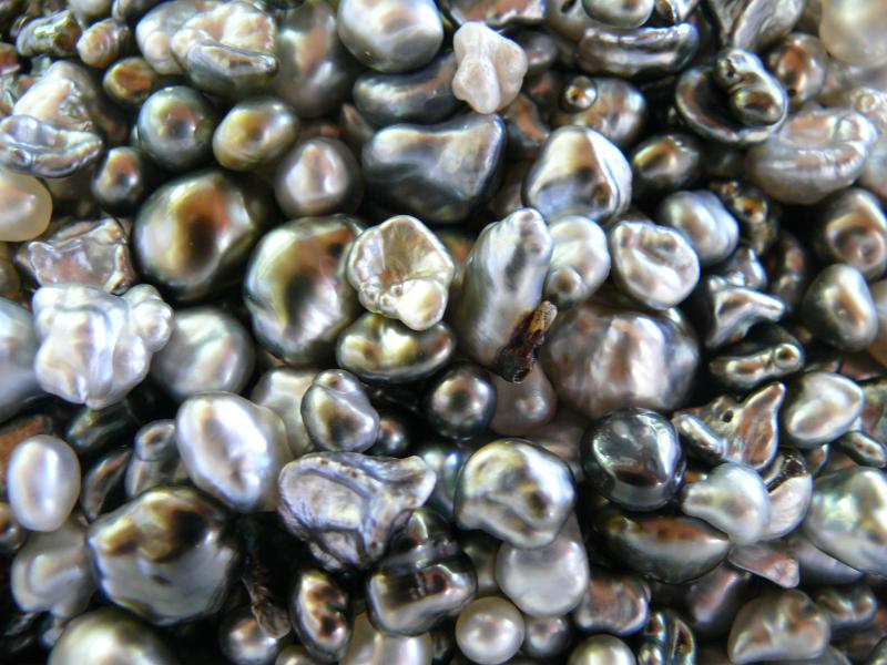 Kiloweise Keshi 
