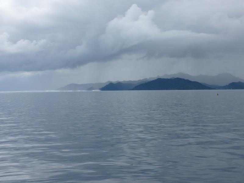 Tahaa 