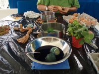 Klicken für grosses Bild