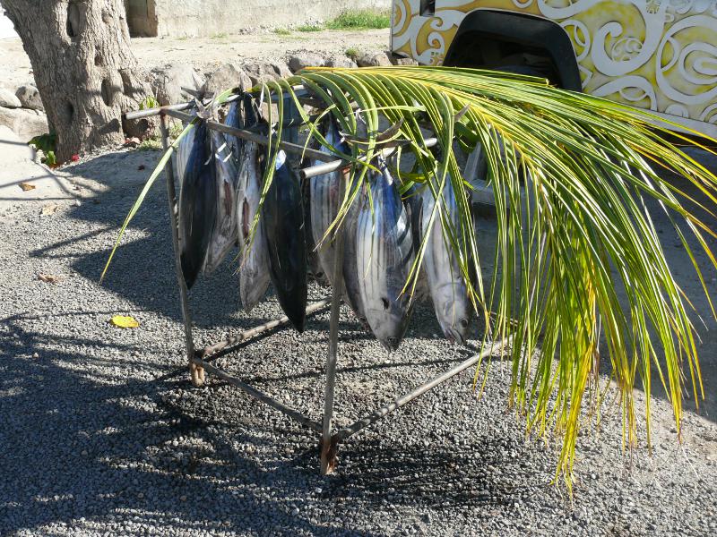 Thunfischverkauf am Strassenrand in Vaitape 