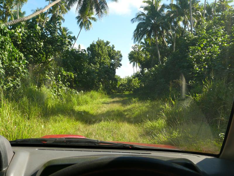 Die Strasse zum Marae 