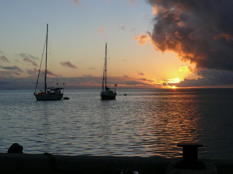 Suleika bei Sonnenuntergang 