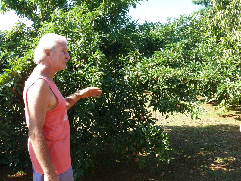 Bill zeigt uns seinen botanischen Garten 