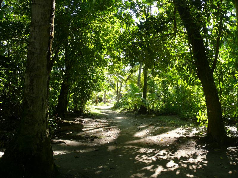 Lauschige Wege 