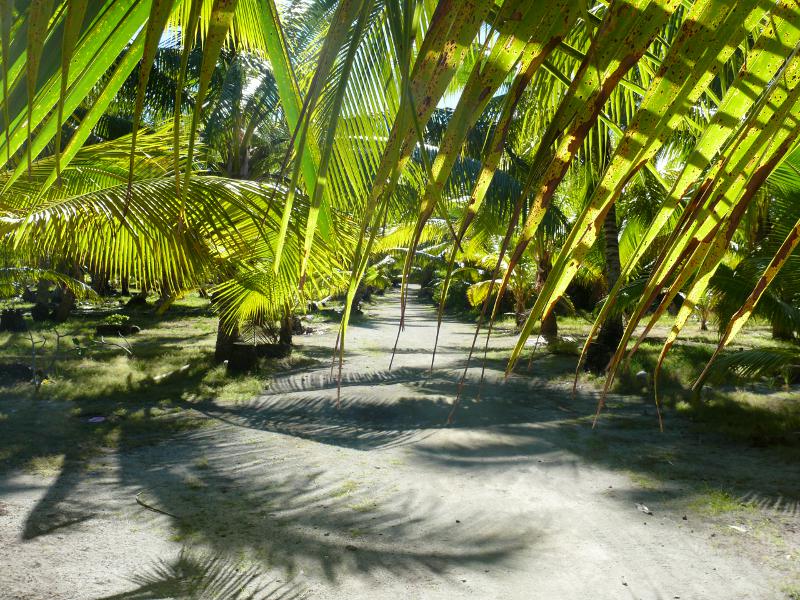führen über die Insel 