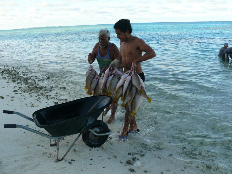 Pama und Alfred bringen die Fische ans Land 