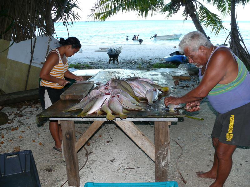 Die ganze Familie filetiert die Fische 