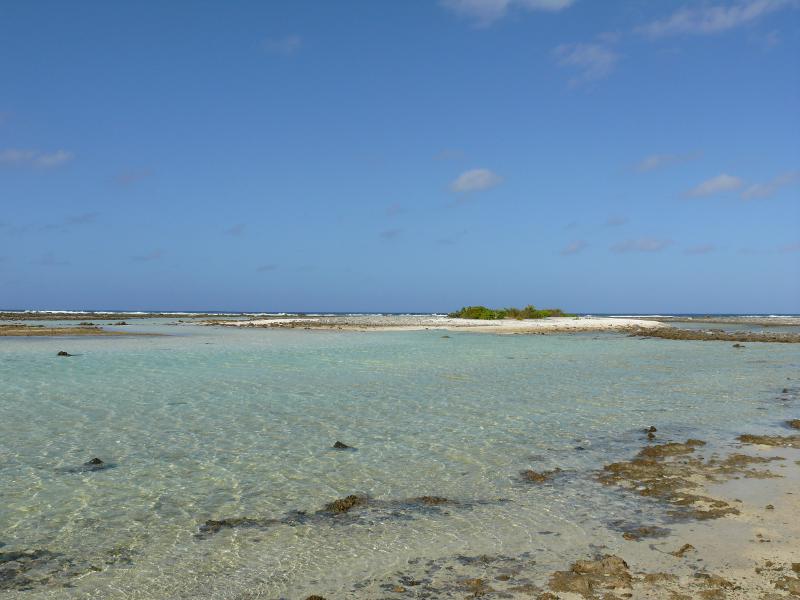 Insel Tom 