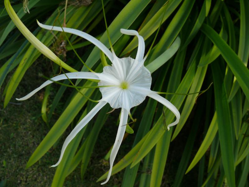 Schönheit der Natur 