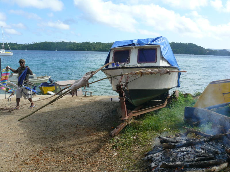 Vorbereitung eines Tongan Feasts 