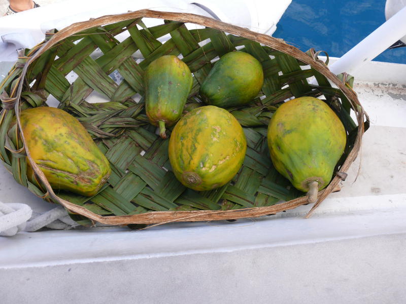 15 Papayas für CHF 4.– samt Korb 