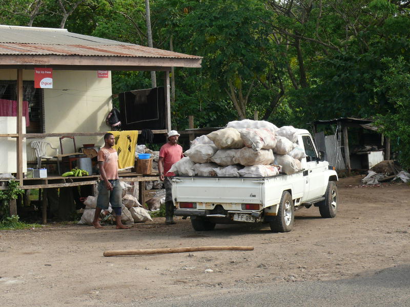 Ein Pickup voller Tarowurzeln, Waiyevo 