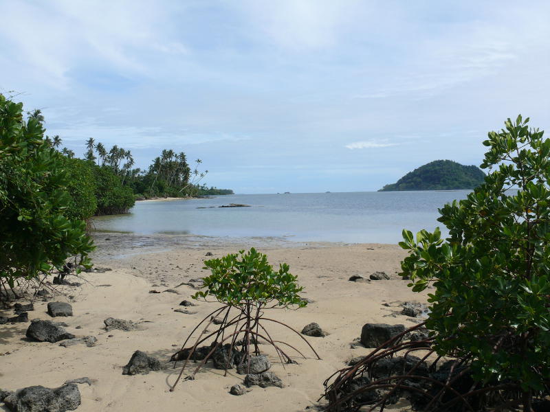 Im Norden von Taveuni 