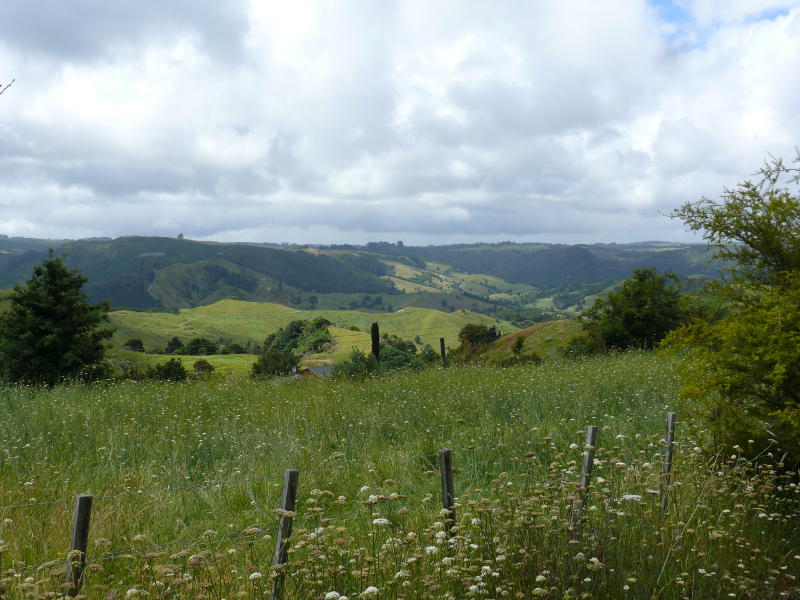 Northland 