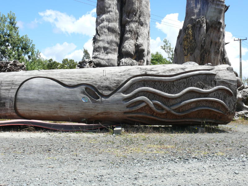 Kauribaumstamm in Awanui 