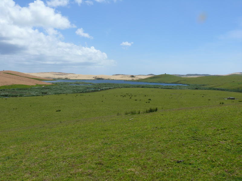 Wanderdünen im Hintergrund 