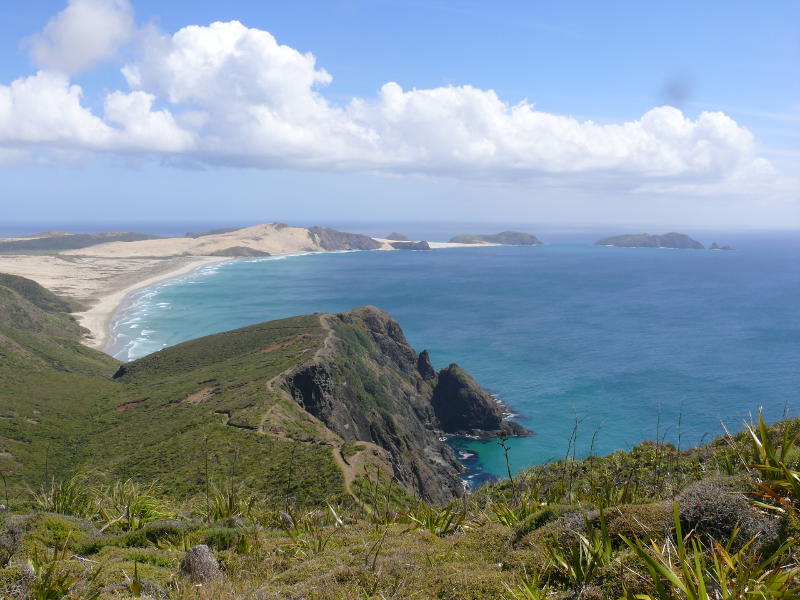 Blick nach Westen zu Motuopau Island 