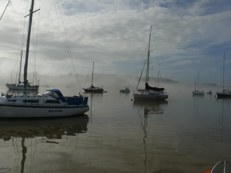 Morgennebel in der Bay of Islands 