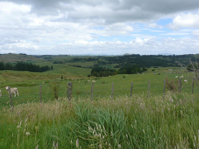 Neuseeland Nordinsel 