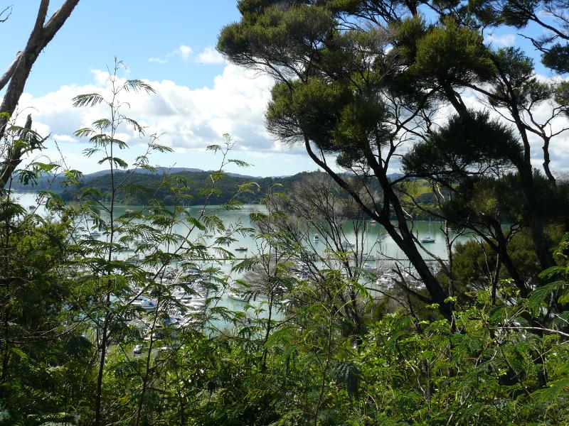 Opua Marina 