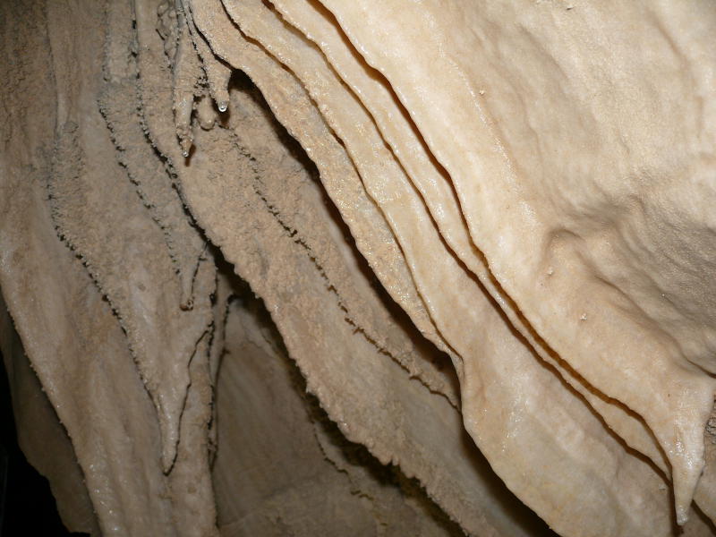 Vorhangstalaktiten in Waitomo Caves 
