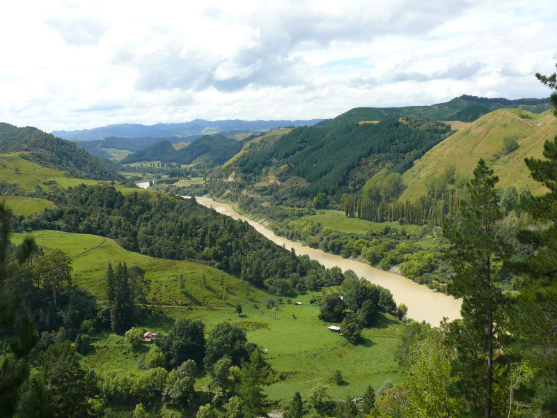 Whangannui River 