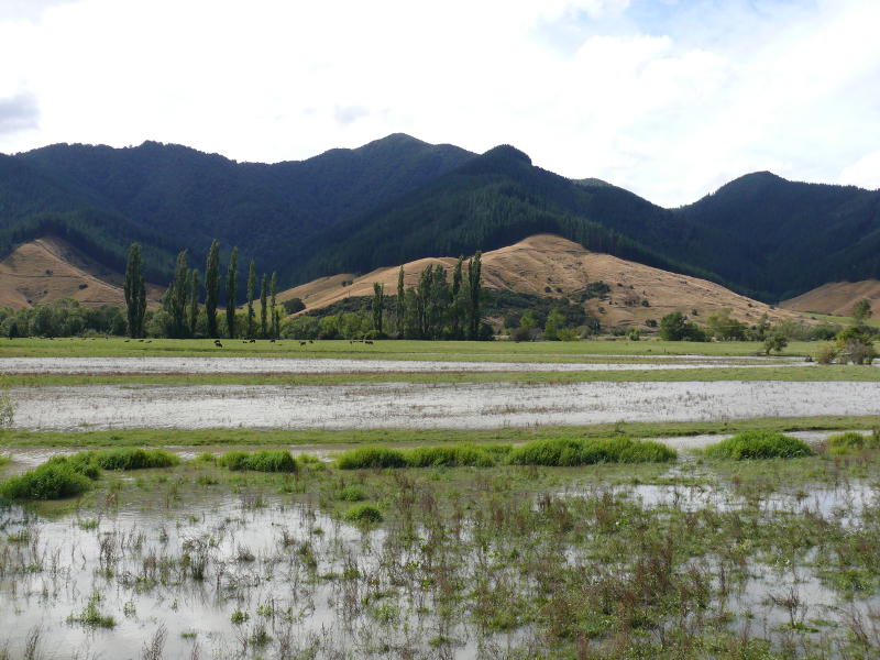 Überschwemmungen des Pelorus Rivers 