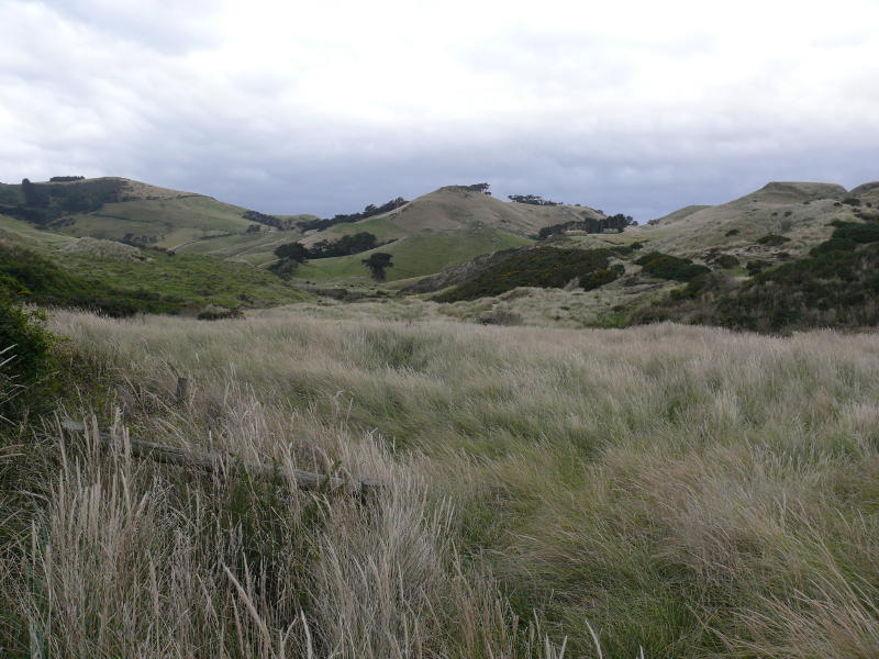 Auf dem Weg zur Sandfly Bay 
