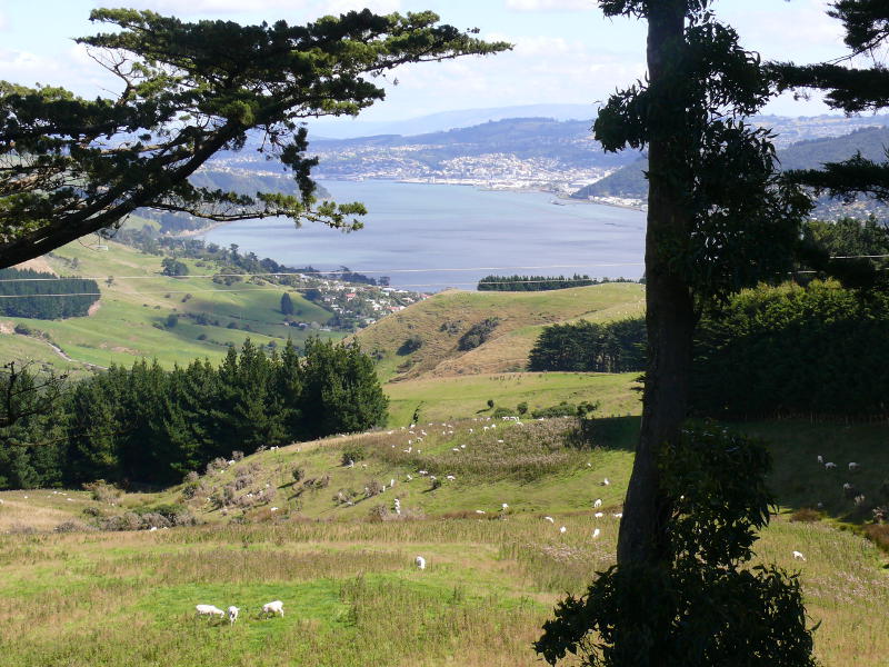 Blick auf Dunedin, Nähe Larnach Castle 
