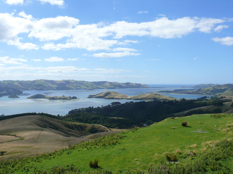 Otago Harbour 