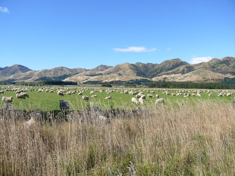 Hanmer Springs 