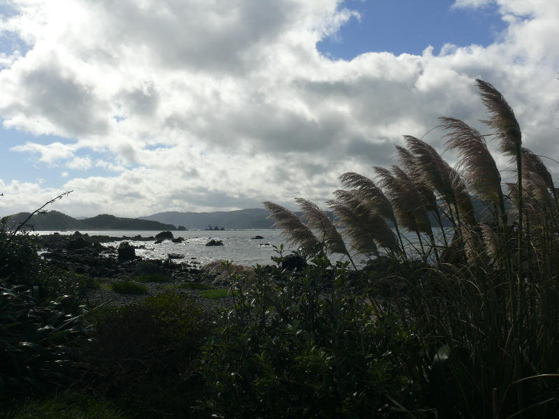 Aussicht von der Breaker Road 