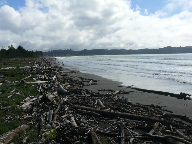 Tolaga Bay 