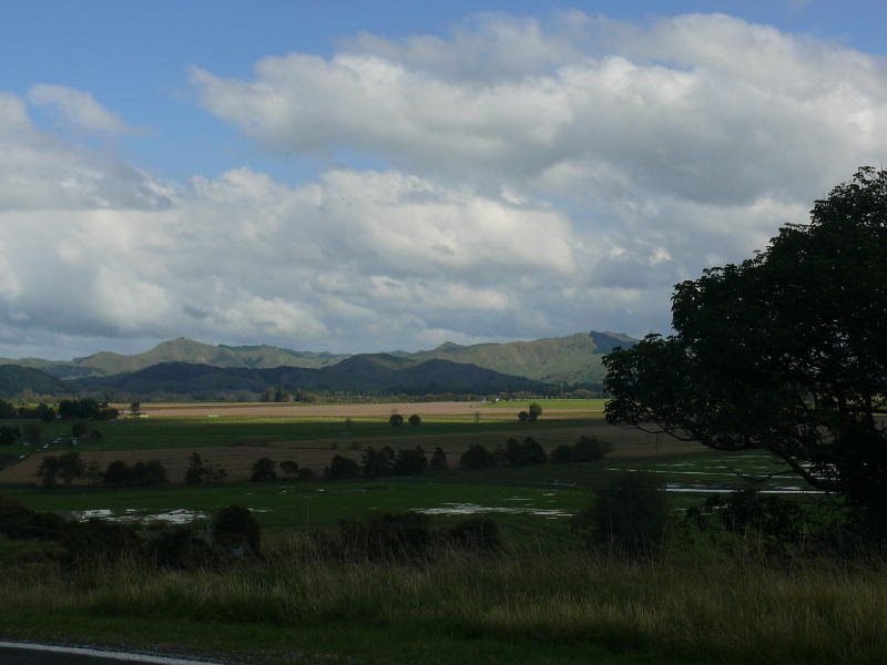 Wetland 