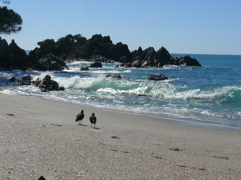 Strand von Mount Manganui 